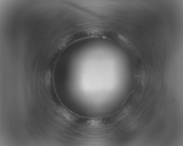 X0000060550660200511031218