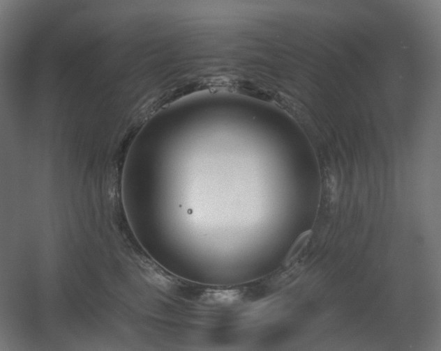X0000060550665200511031218