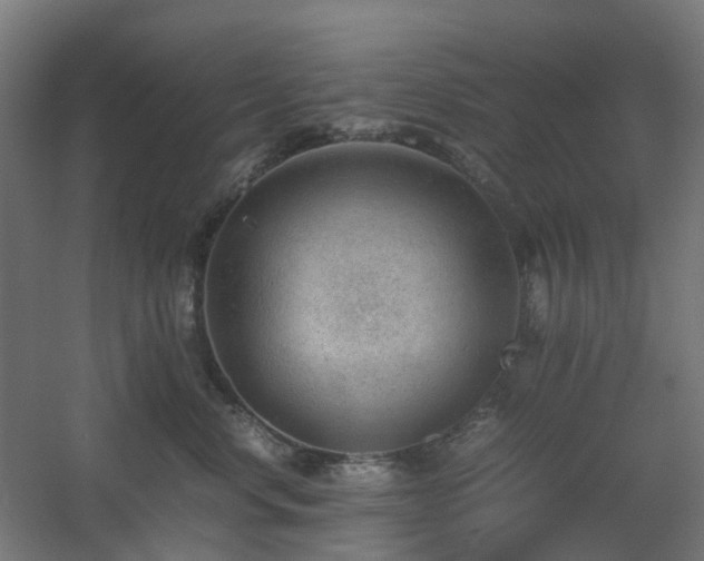 X0000060550668200511031218