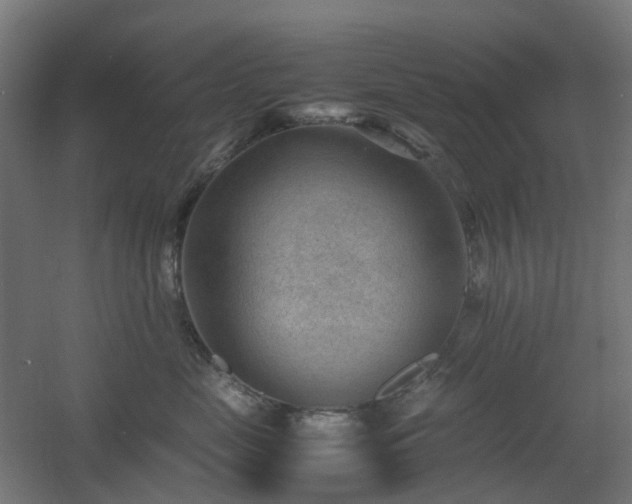 X0000060550669200511031218