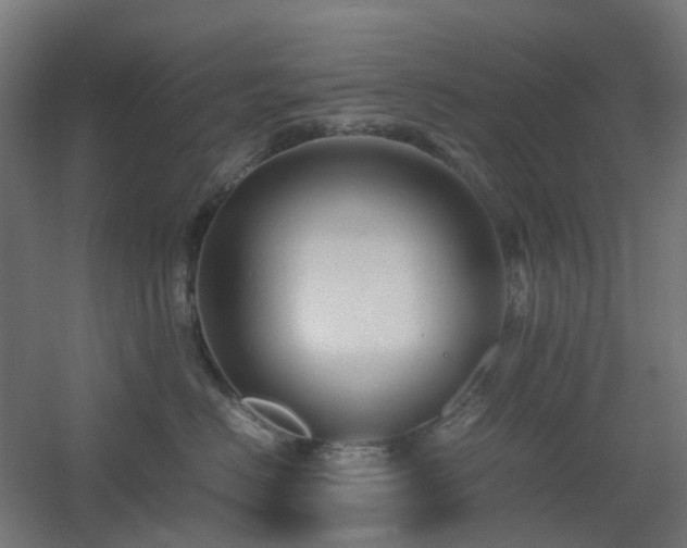 X0000060550670200511031218