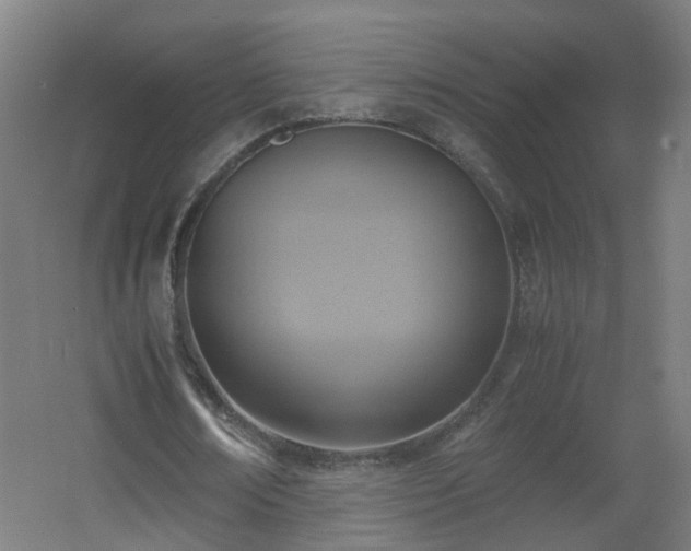 X0000060550674200511031217