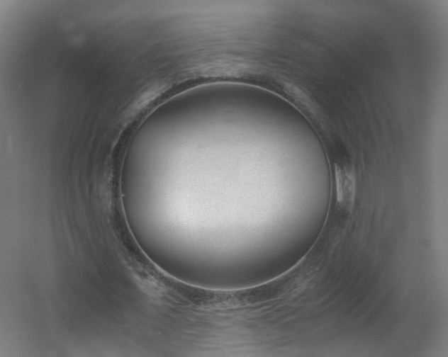 X0000060550675200511031217