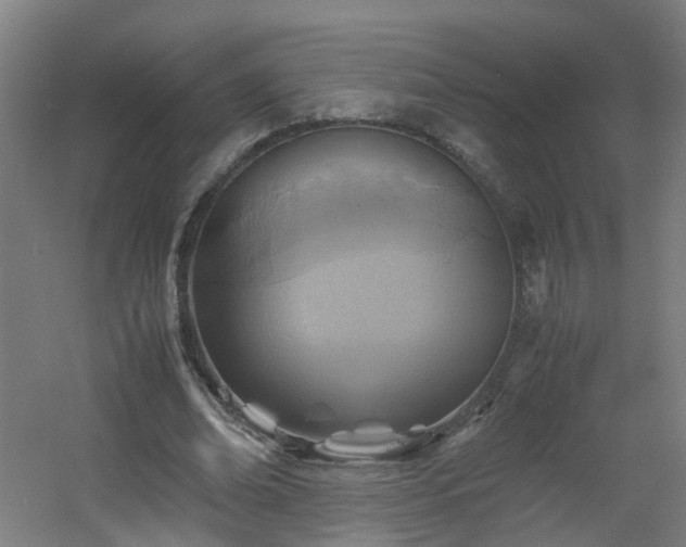 X0000060550678200511031217