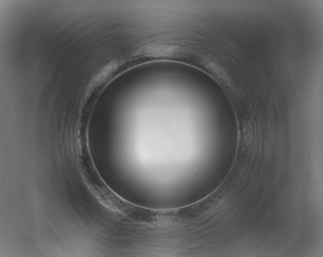 X0000060550682200511031217