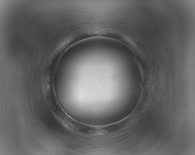 X0000060550683200511031217