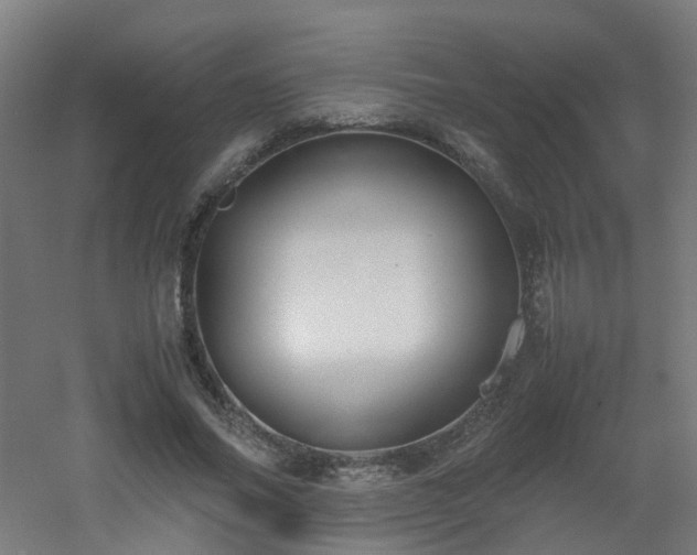 X0000060550686200511031217