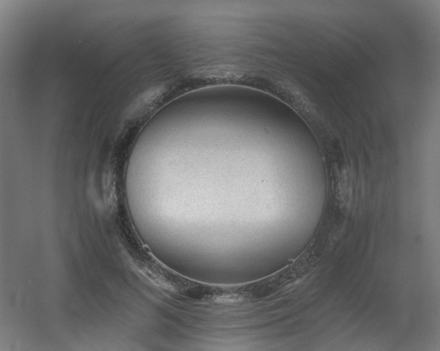 X0000060550692200511031217