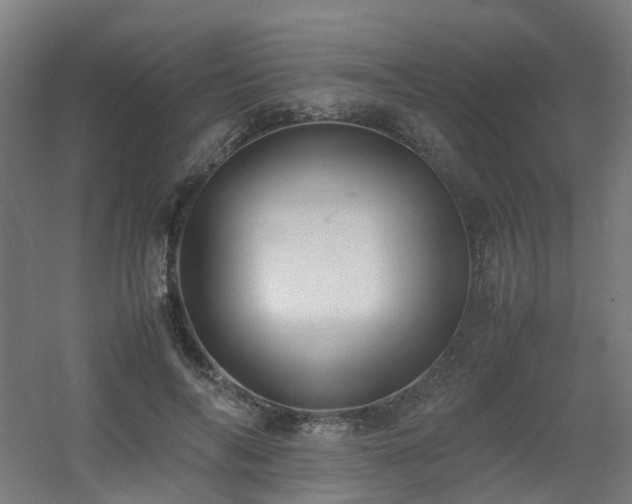 X0000060550694200511031217