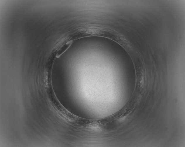 X0000060550696200511031217
