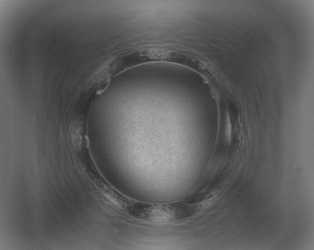 X0000060550697200511031217