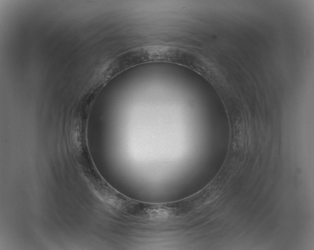 X0000060550698200511031217