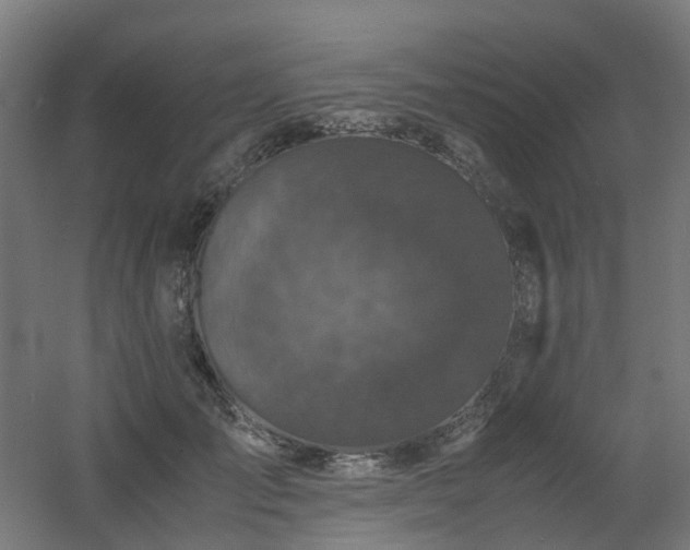 X0000060550701200511031217