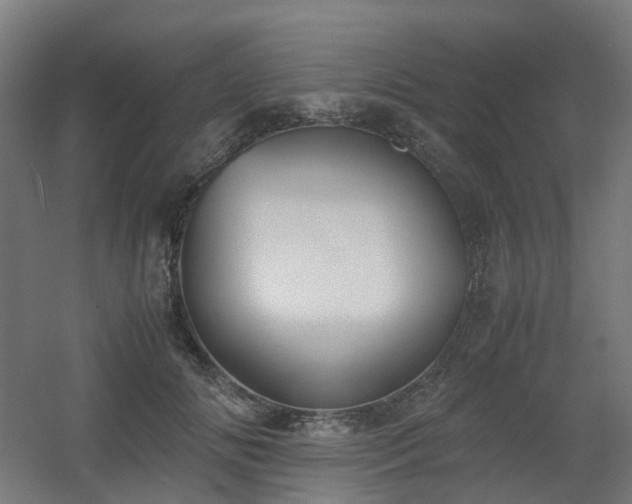 X0000060550702200511031217