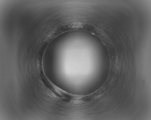 X0000060550704200511031217