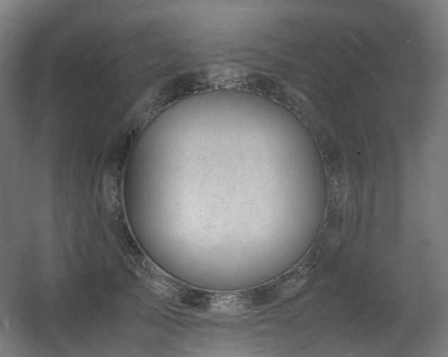 X0000060550705200511031217