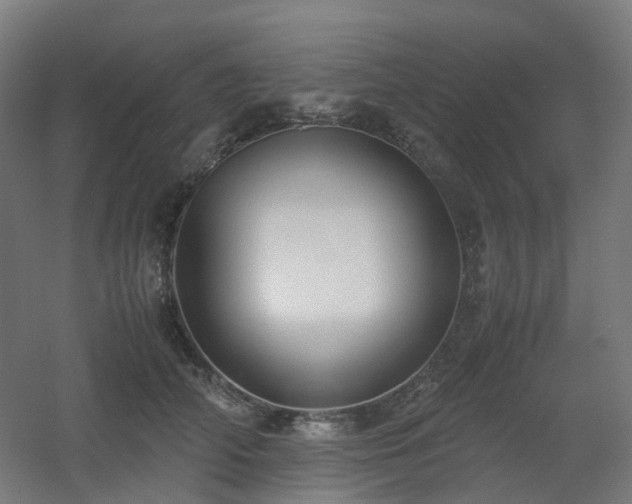 X0000060550706200511031217