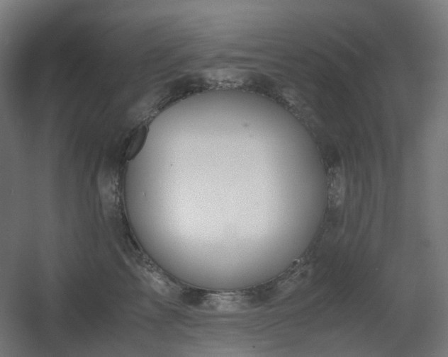 X0000060550713200511031217