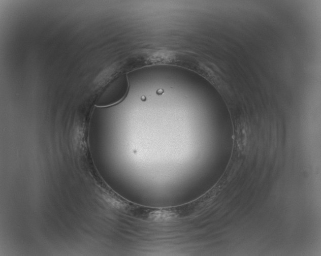 X0000060550714200511031217