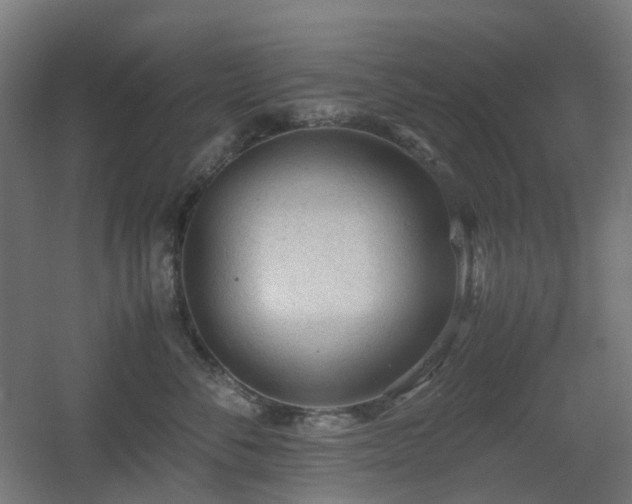 X0000060550716200511031217