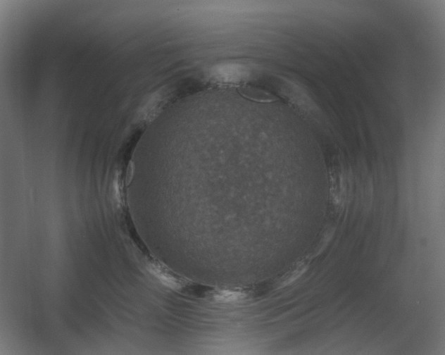 X0000060550718200511031217