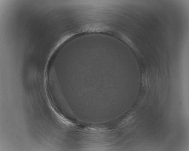 X0000060550722200511031216