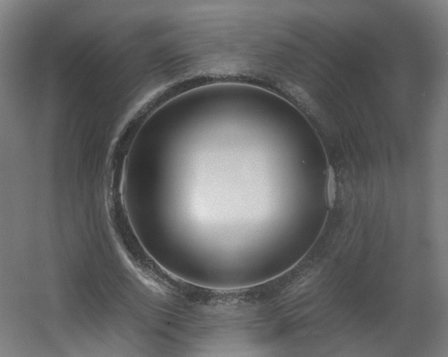 X0000060550728200511031216