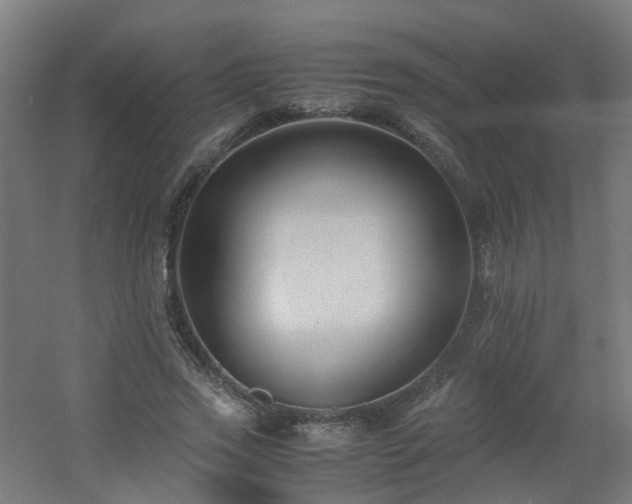 X0000060550733200511031216