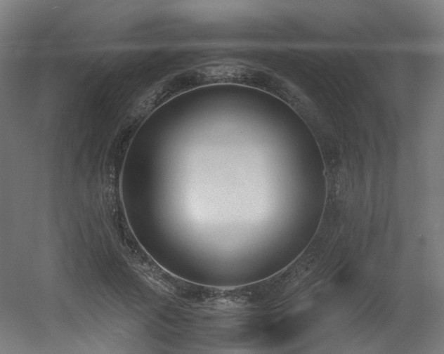 X0000060550737200511031216