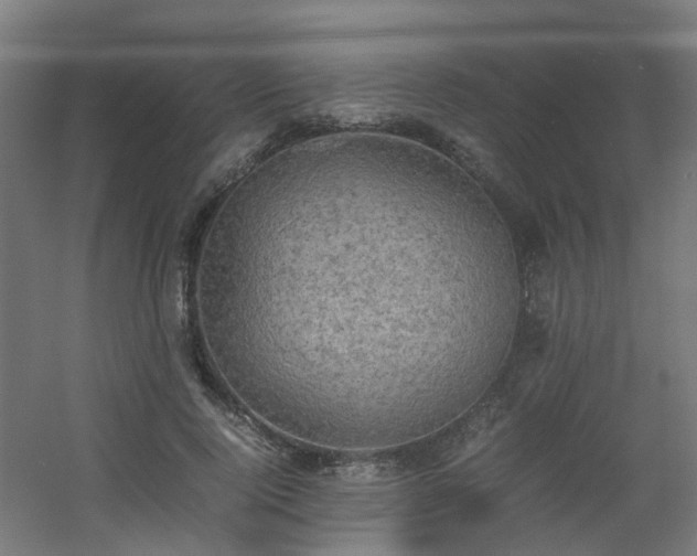 X0000060550740200511031216
