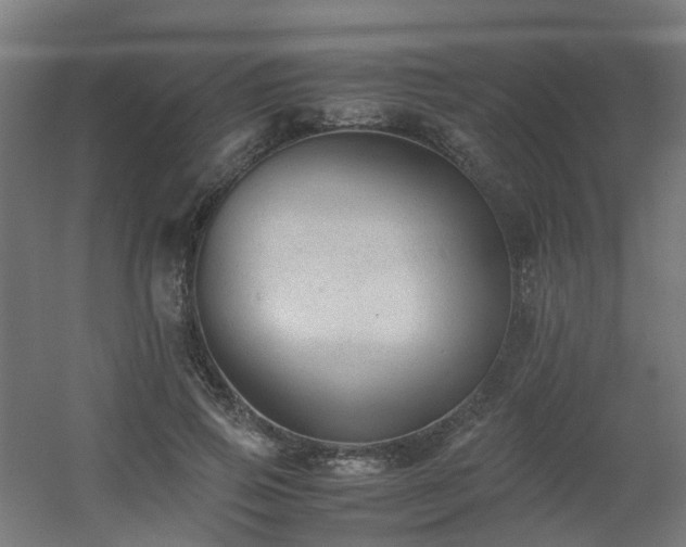 X0000060550741200511031216