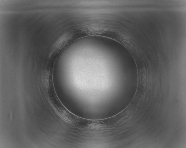 X0000060550742200511031216