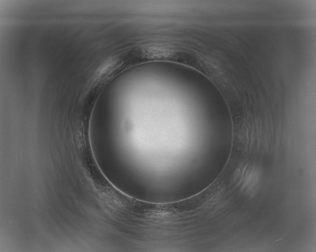 X0000060550743200511031216