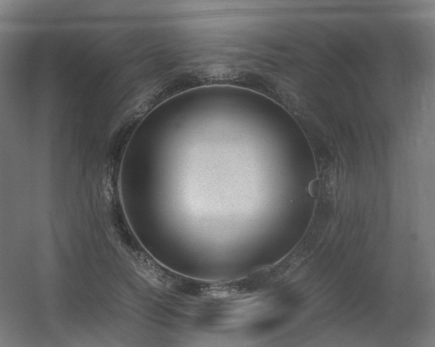 X0000060550746200511031216