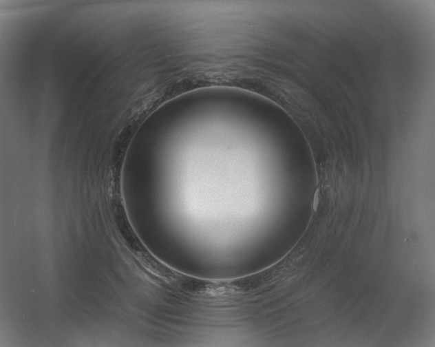 X0000060550752200511031216