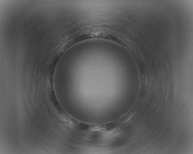 X0000060550754200511031216