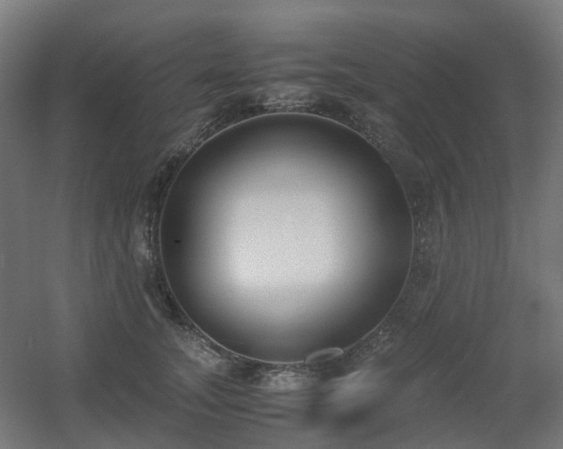 X0000060550755200511031216
