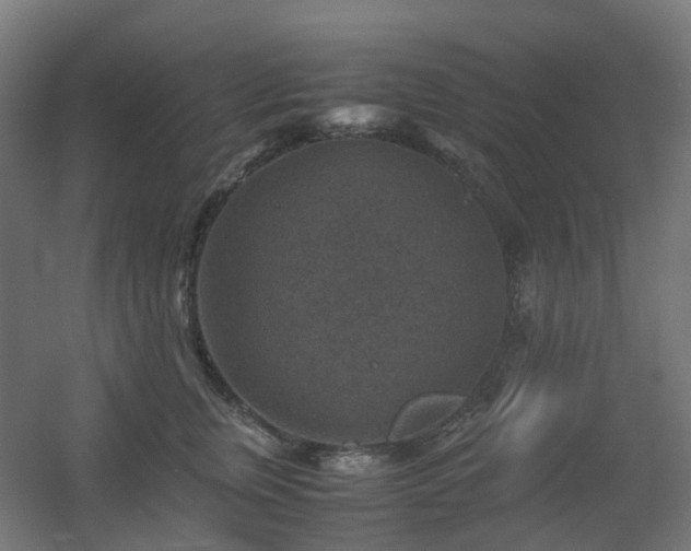 X0000060550759200511031216