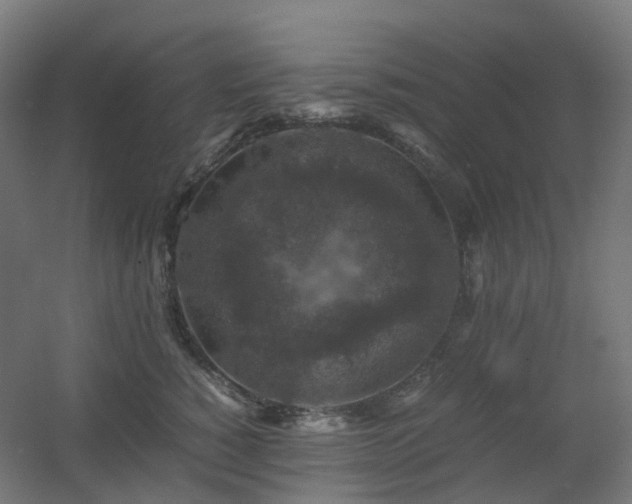 X0000060550760200511031216