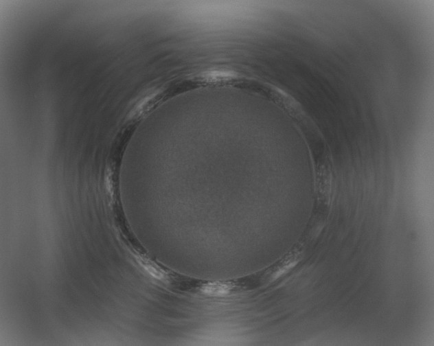 X0000060550762200511031216