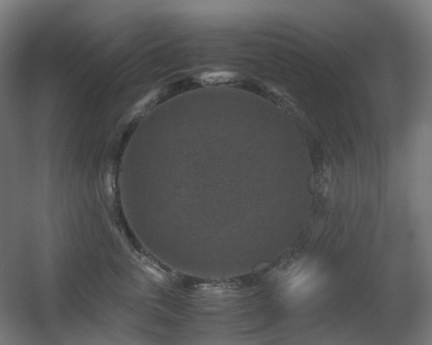 X0000060550763200511031216