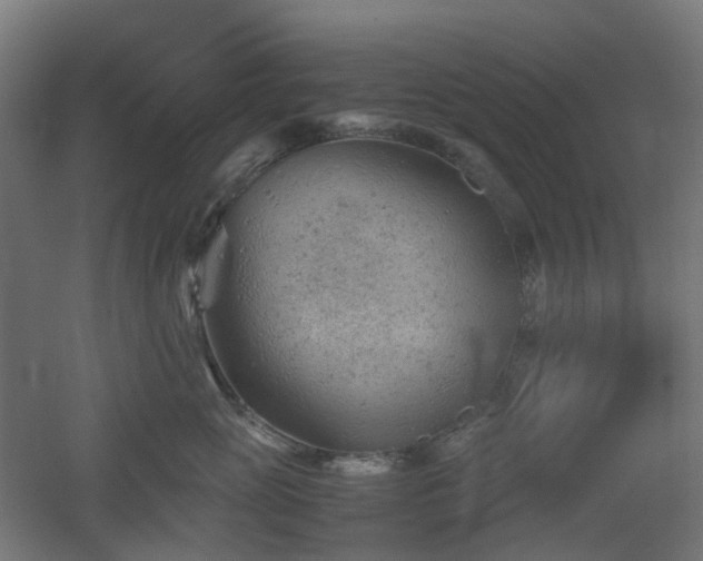 X0000060550765200511031217