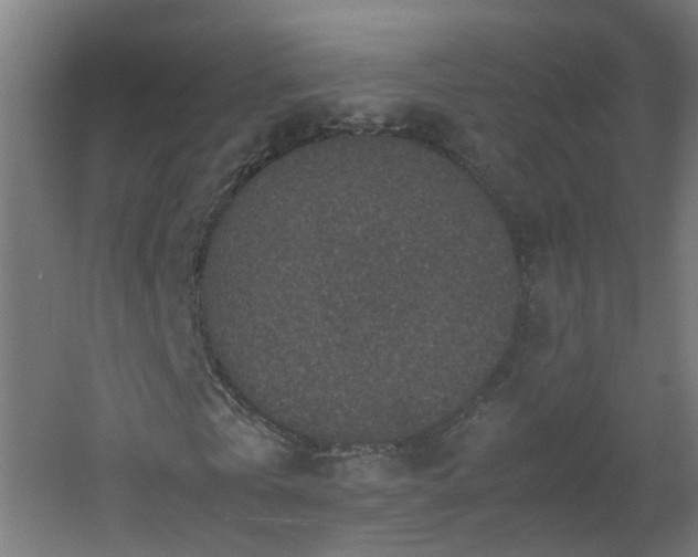 X0000060550769200511031216