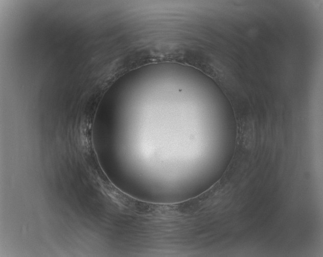 X0000060550770200511031216