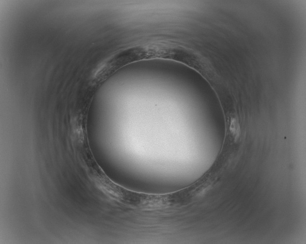 X0000060550771200511031216