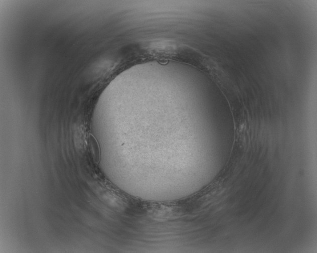 X0000060550772200511031216
