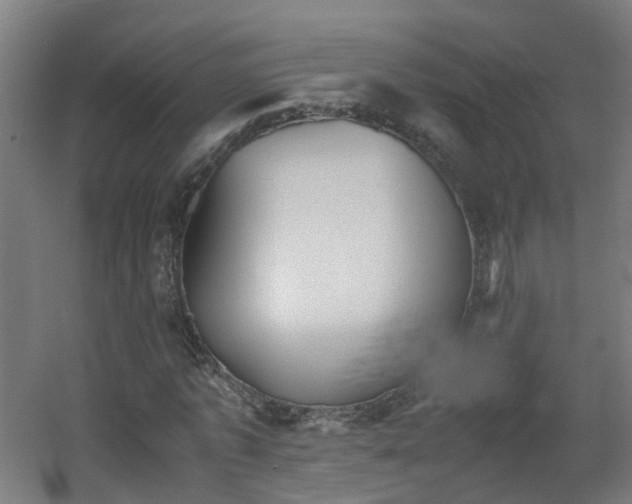X0000060550773200511031216