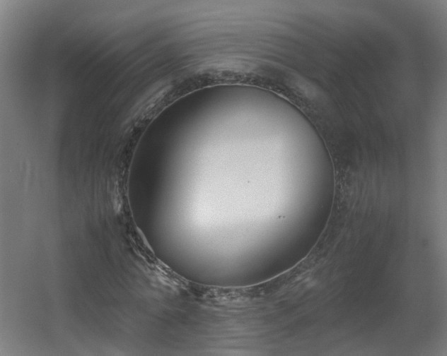 X0000060550774200511031216
