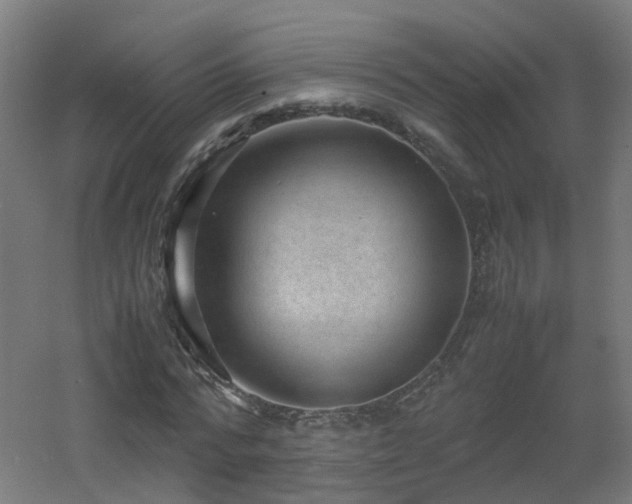 X0000060550776200511031216