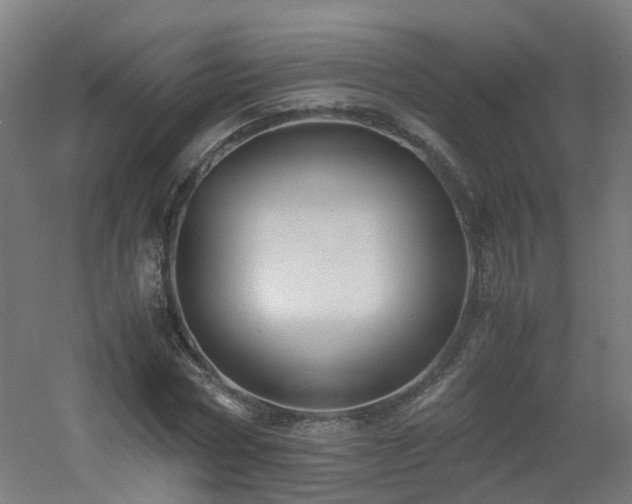 X0000060550778200511031216